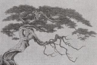 Lee Chun-Yi - Same Root