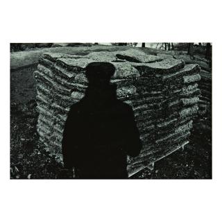 Lee Friedlander - Central Park, New York City