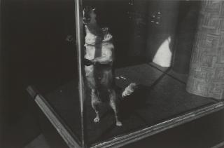 Lee Friedlander - Jersey City, New Jersey