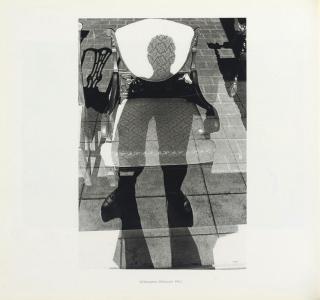 Lee Friedlander - Lee Friedlander. Tokyo: Tadashi Furukawa for Kosei Publishing Co., 1987.