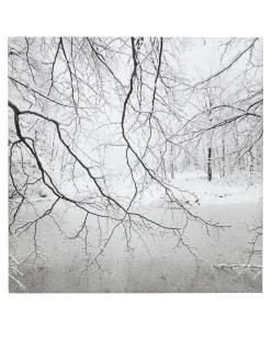 Lee Friedlander - New City, 1999