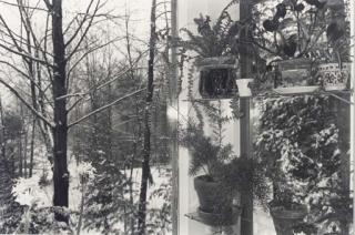 Lee Friedlander - Putney, Vermont, 1972