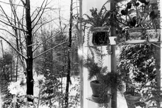 Lee Friedlander - Putney, Vermont