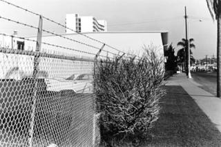 Lee Friedlander - San Diego, California