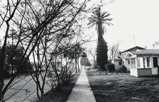 Lee Friedlander - Selected Images From 15 Photographs