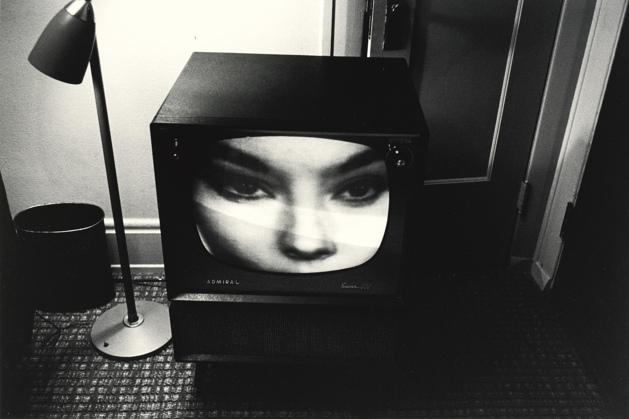 Lee Friedlander - The Little Screens