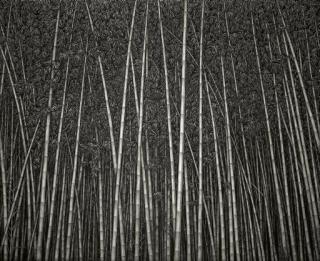 Lee Jae Sam - Beyond There