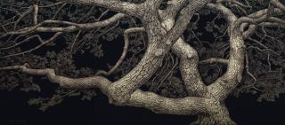 Lee Jae Sam - Dalbit (Moonshine)