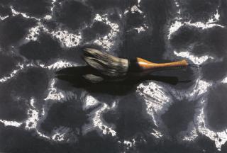 Lee Jung Woong - Brush