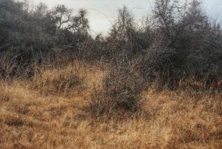 Lee Kwang-Ho - Untitled 2357