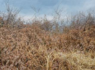 Lee Kwang-Ho - Untitled 3063