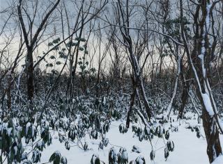 Lee Kwang-Ho - UNTITLED 3862