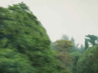 Lee Kwang-Ho - Untitled