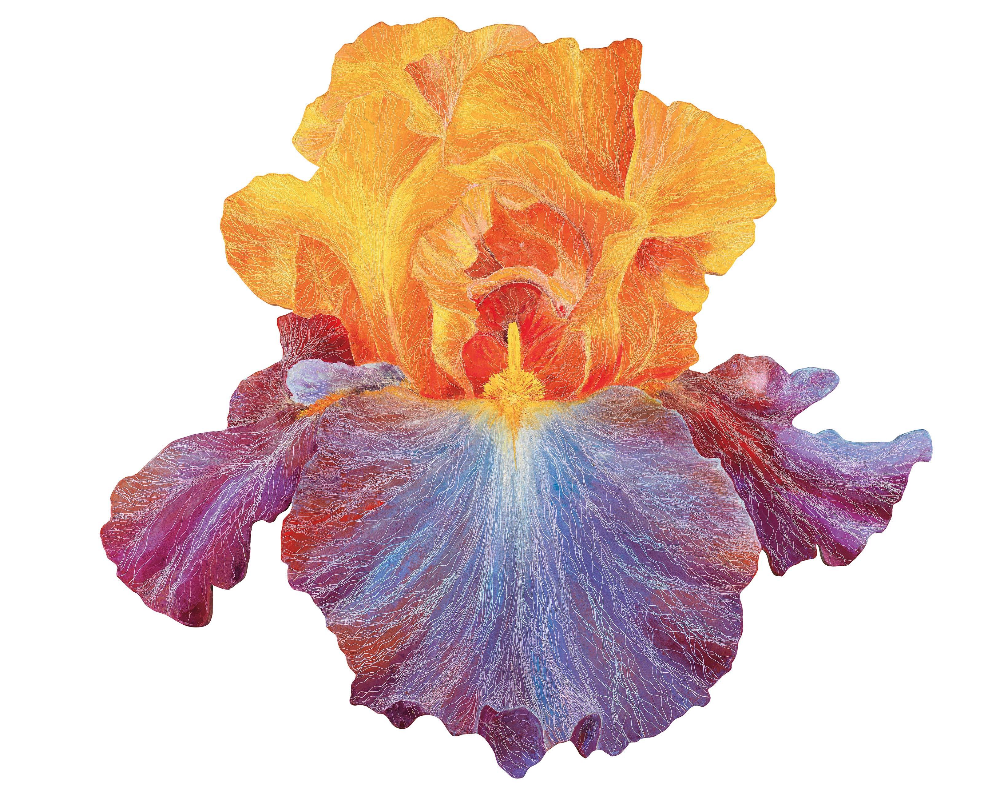 Leigh L. Wen - Iris III