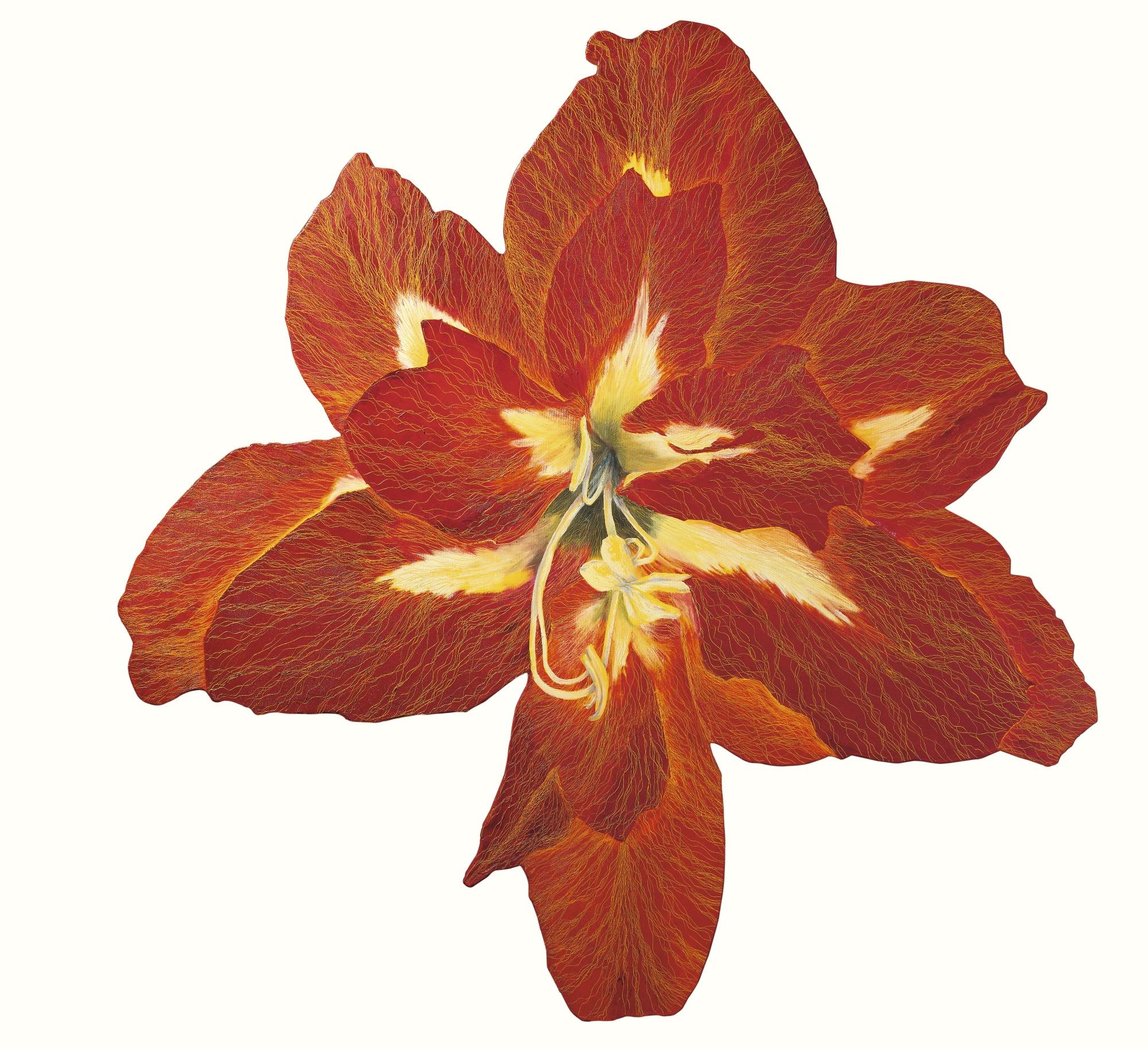 Leigh Wen - Amaryllis