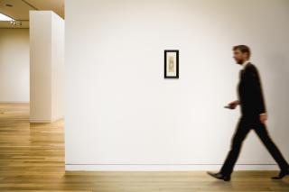 Lelio Orsi - Recto: Figure Study Of A Bearded Man, Design For A Telamon Verso:  Study Of A Head And A Butterfly