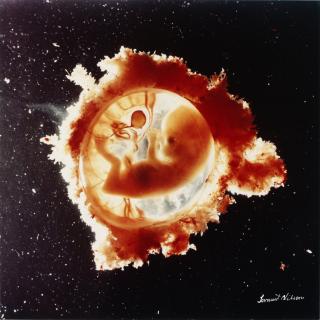 Lennart Nilsson - Foster