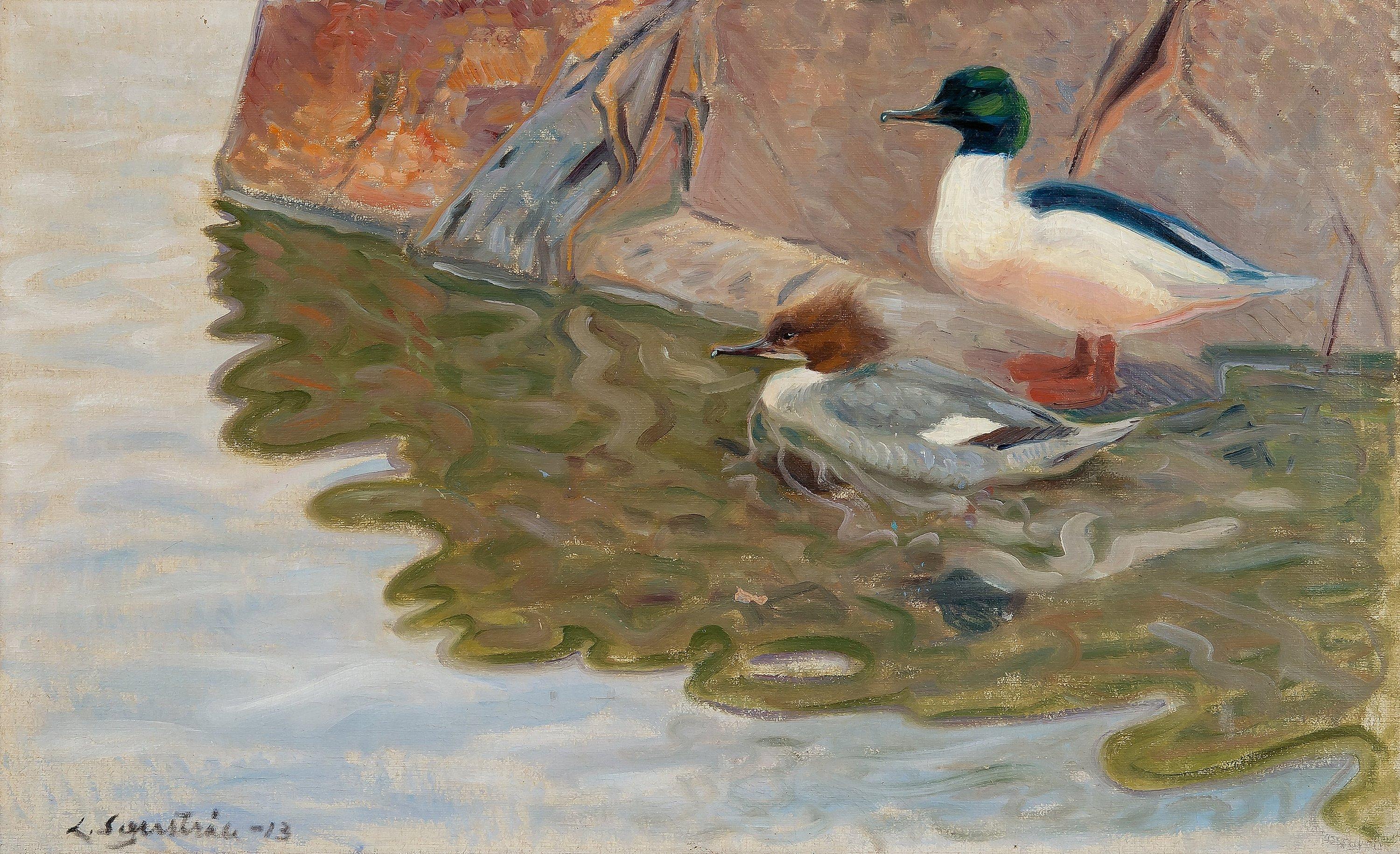 Lennart Segerstråle - Mergansers.