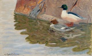 Lennart Segerstråle - Mergansers.