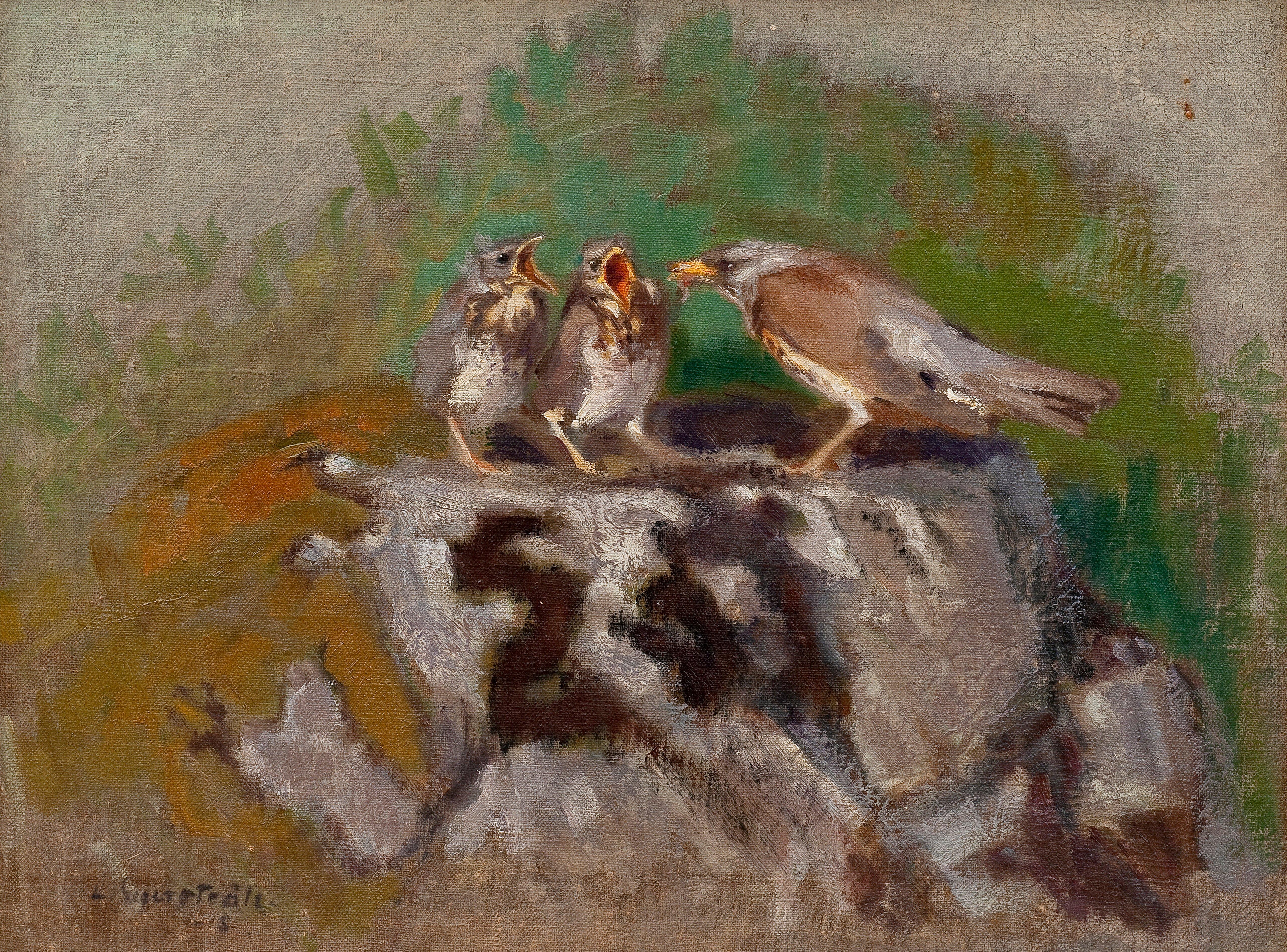 Lennart Segerstråle - Thrush With It\'S Young.