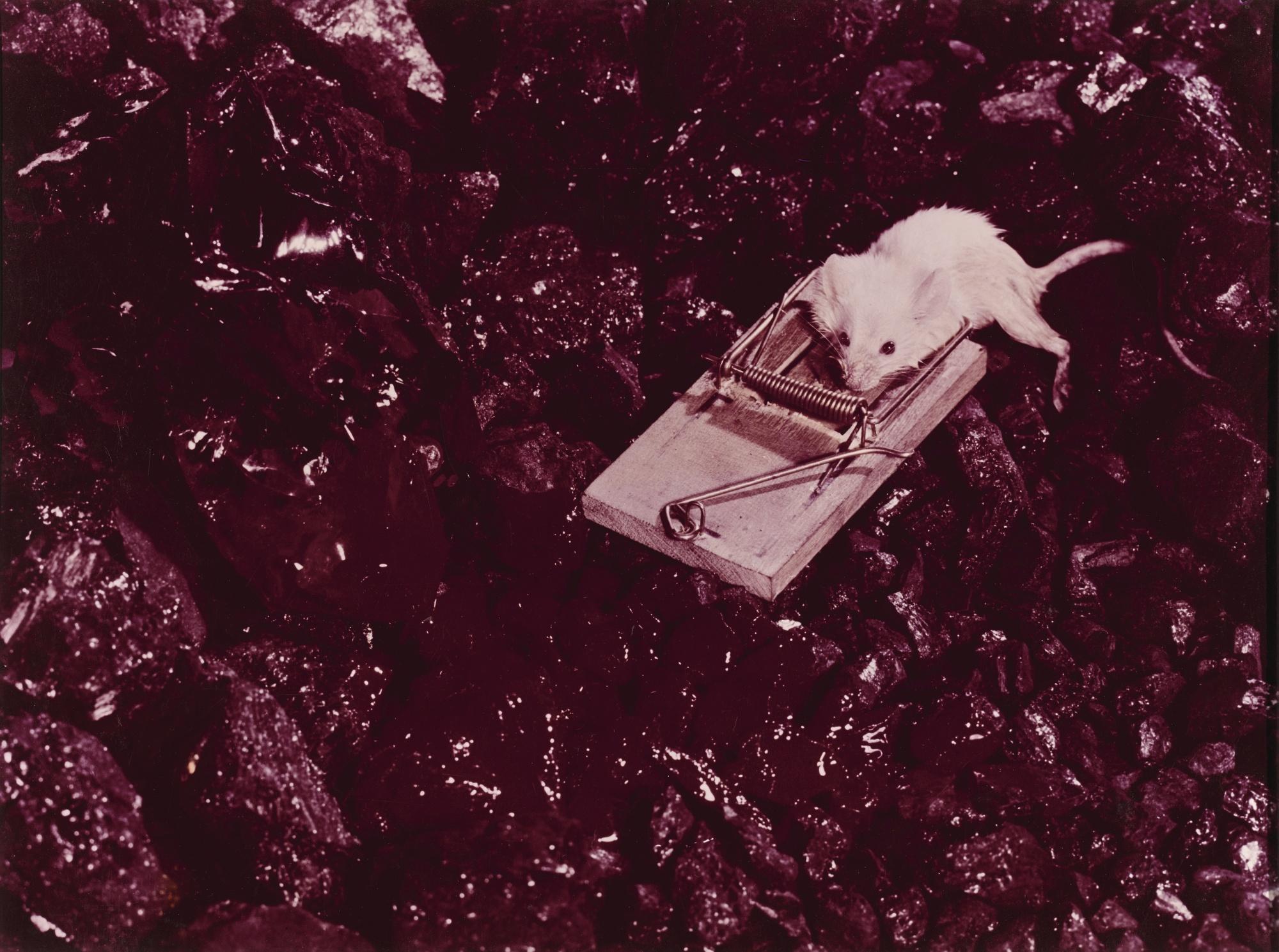 Leo Dohmen - Marcinelle