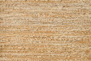 Leo Erb - Ohne Titel.