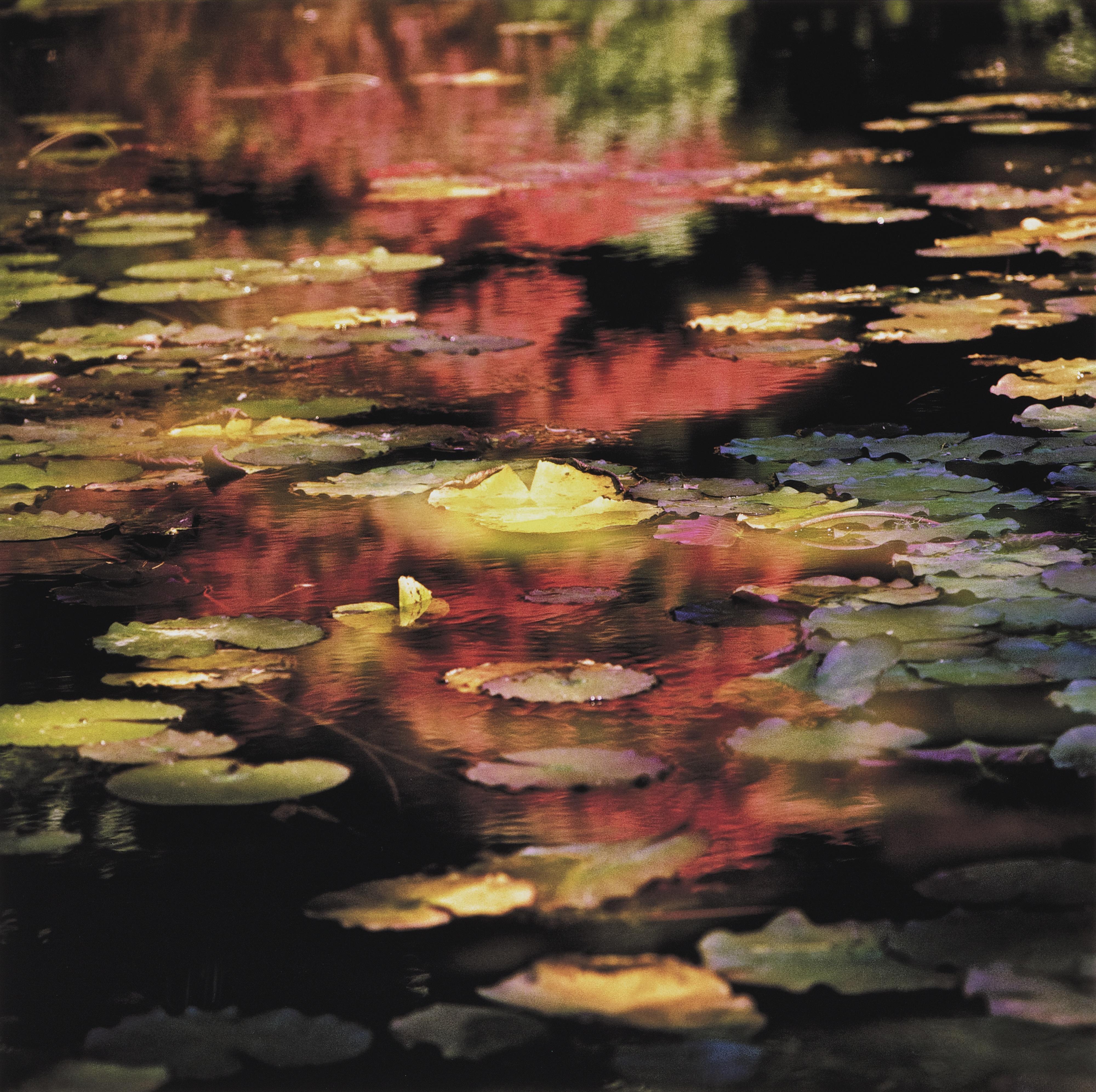 Leo K.K. Wong - Autumn Fantasy Ii