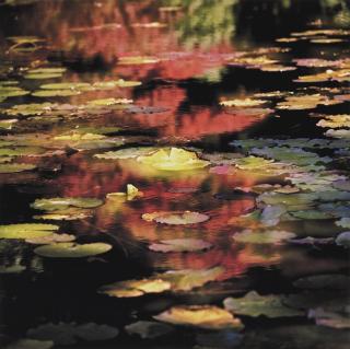 Leo K.K. Wong - Autumn Fantasy Ii