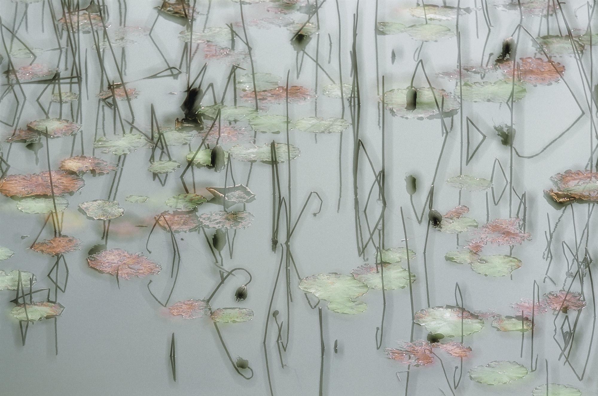 Leo K.K. Wong - The Golden Pond