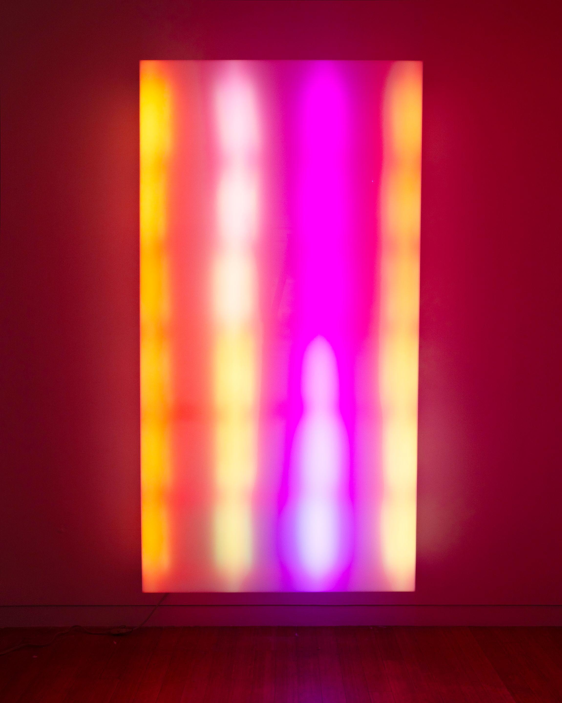 Leo Villareal - Lightscape