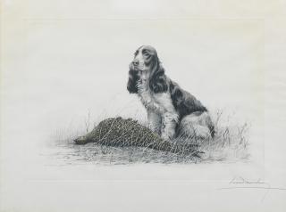 Léon Danchin - A Cocker Spaniel with hen pheasant
