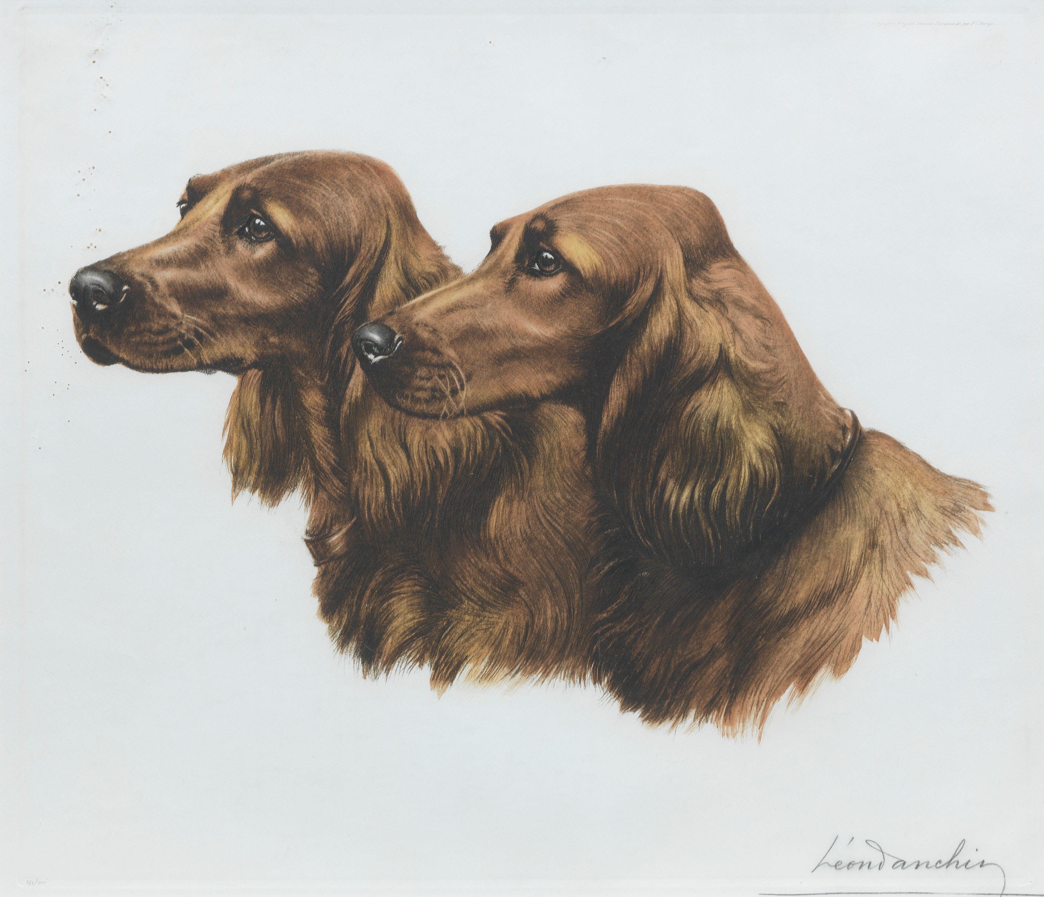 Léon Danchin - A pair of Irish Setters