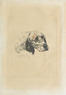 Léon Danchin - An English Setter