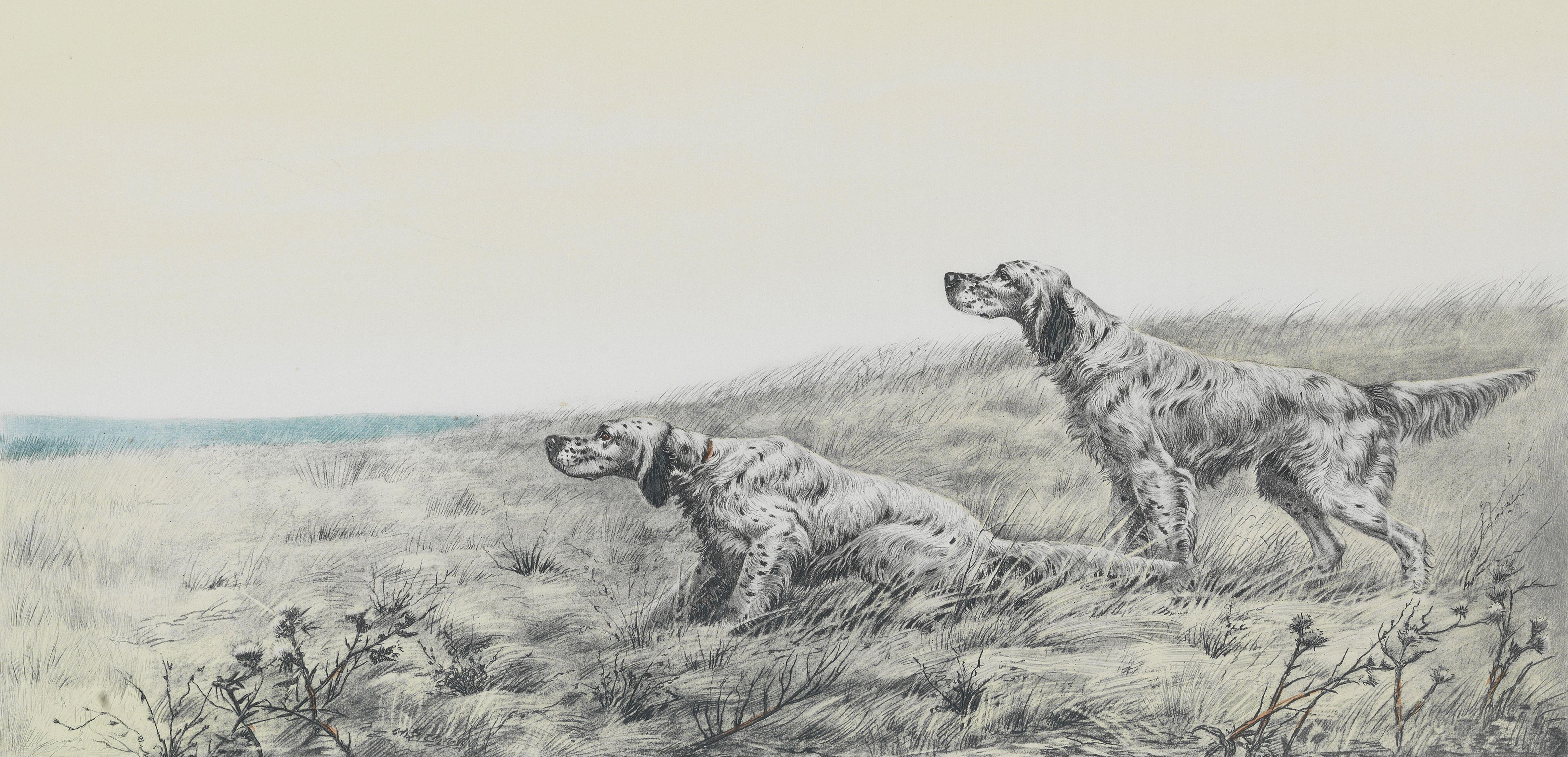 Léon Danchin - English Setters in the field