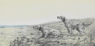 Léon Danchin - English Setters in the field