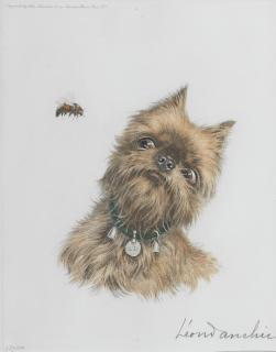 Léon Danchin - Griffon Bruxellois and a bee