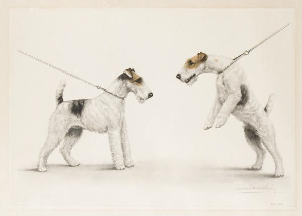 Leon Danchin - Les Deux Fox