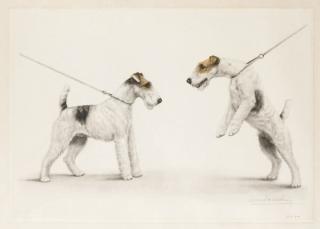 Leon Danchin - Les Deux Fox