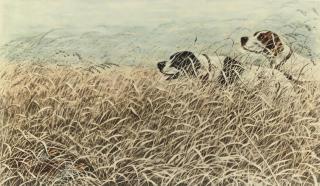 Leon Danchin - Two Dogs stalking Grouse in a Cornfield