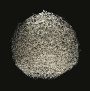 León Ferrari - Luna