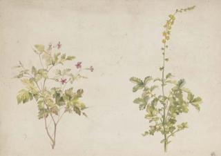 Leon Nicolaevitsch Bakst - Costume Design: Daphnis Et Chloe - Pan