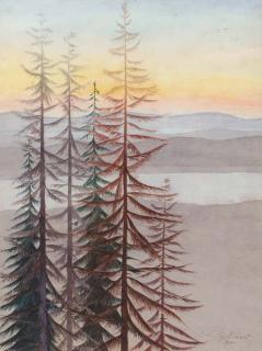 Leon Spilliaert - A landscape with firs
