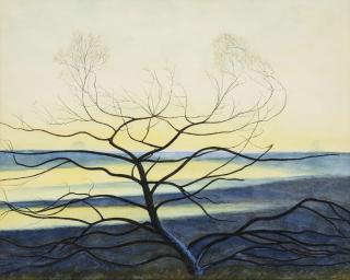 Léon Spilliaert - Arbuste sur fond jaune, Hautes Fagnes