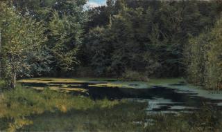 Léon Tanzi - La mare en forêt