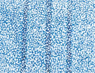 Leon Tarasewicz - Polish blau 2009