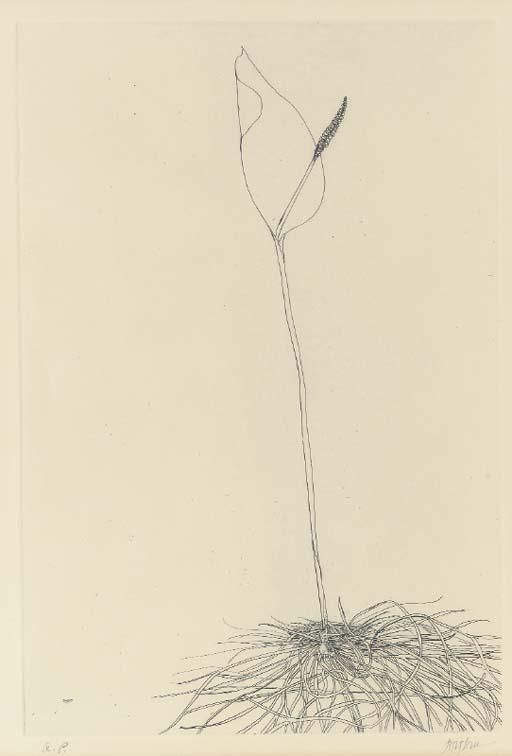 Leonard Baskin - Adder\'S Tongue