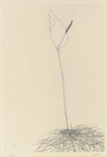 Leonard Baskin - Adder\'S Tongue