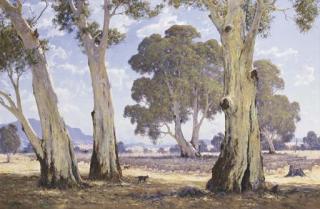 Leonard Hugh Long - Australian Sheep Country, Coodradigbee District, New South Wales