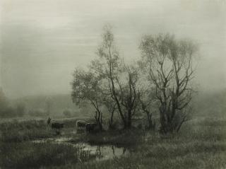 Léonard Misonne - Dans le marais