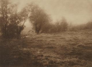 Léonard Misonne - La Prairie